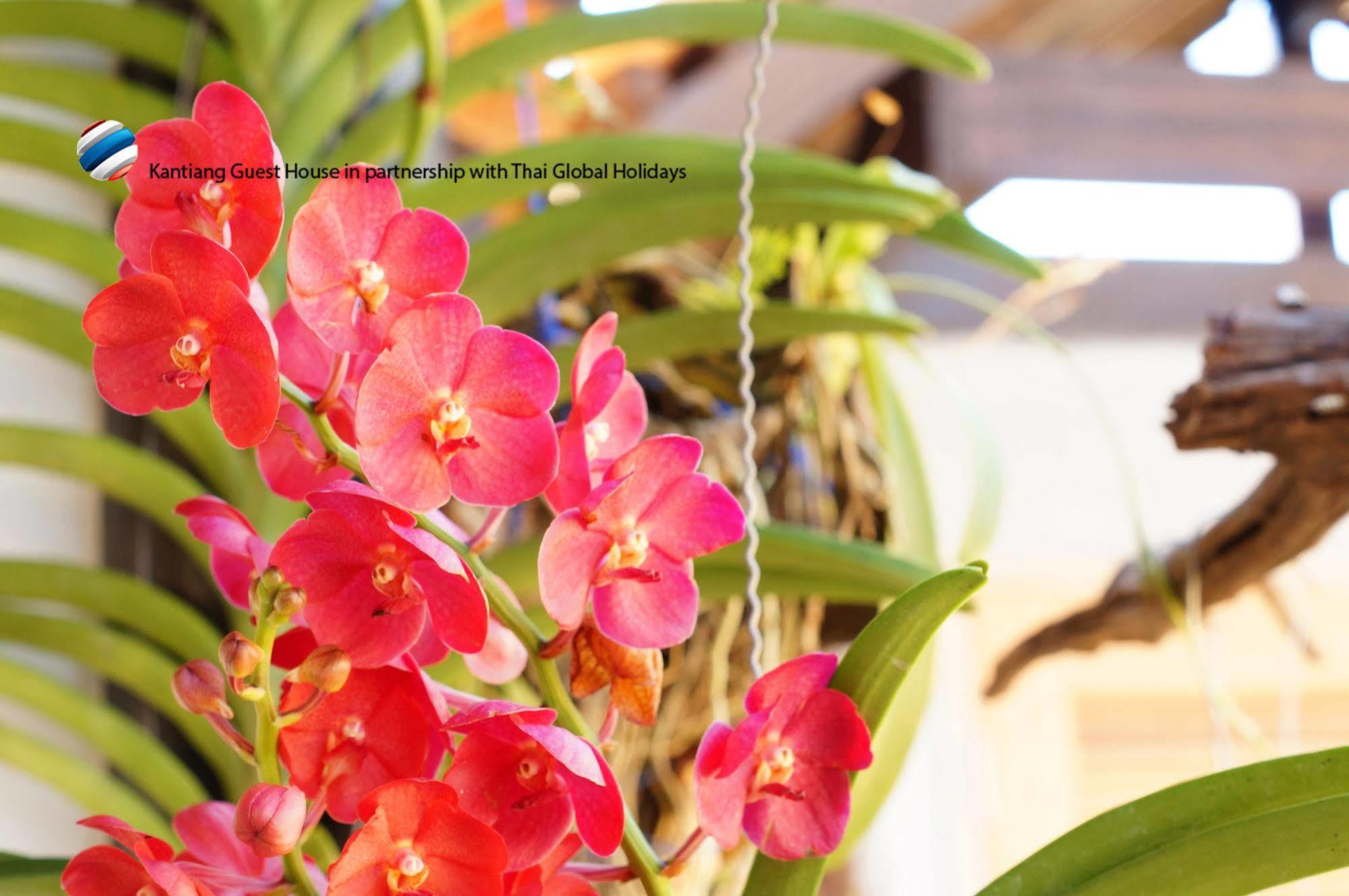Kantaing Boutique Guest House Koh Lanta Exterior foto